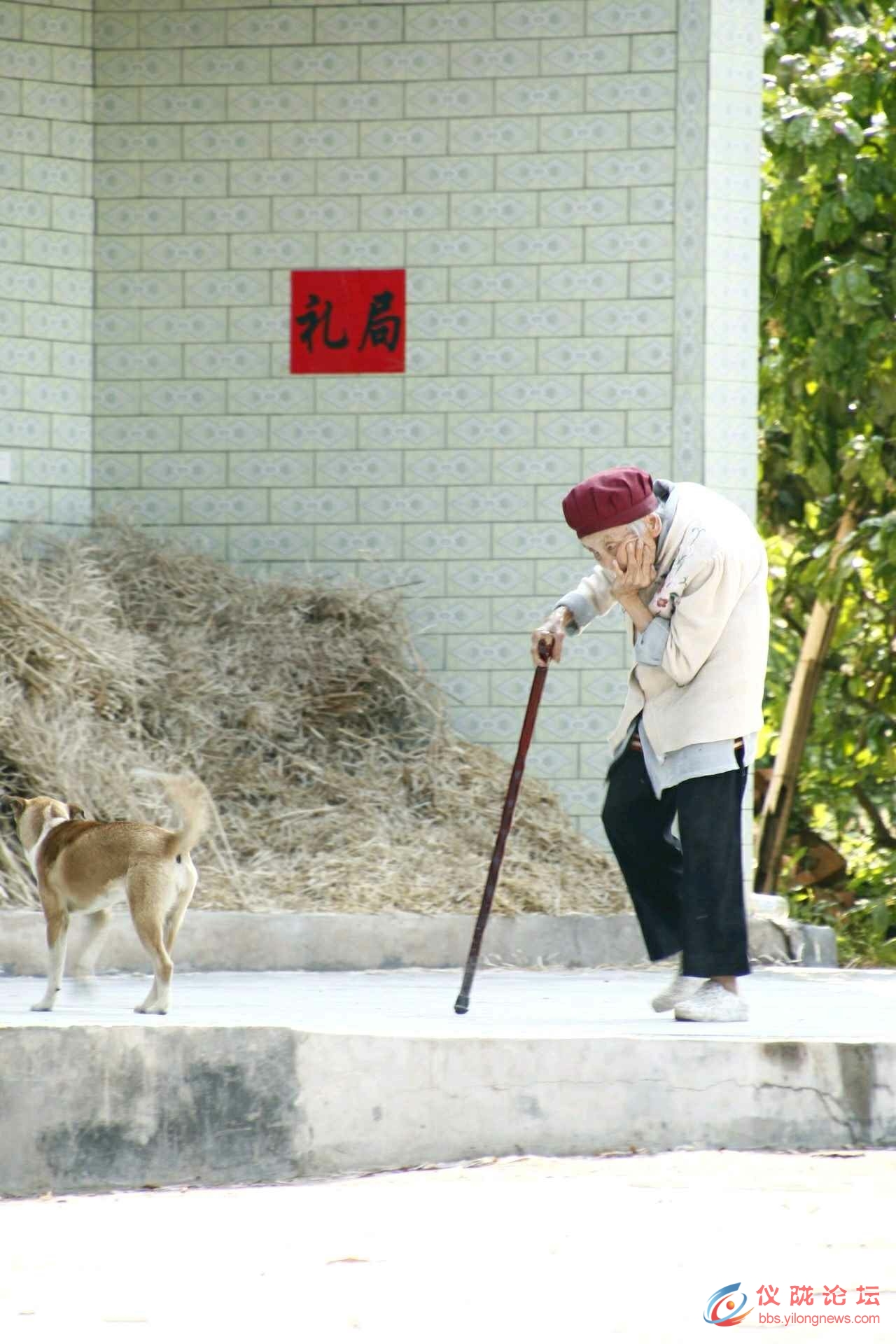 驼背老人图片 图库图片