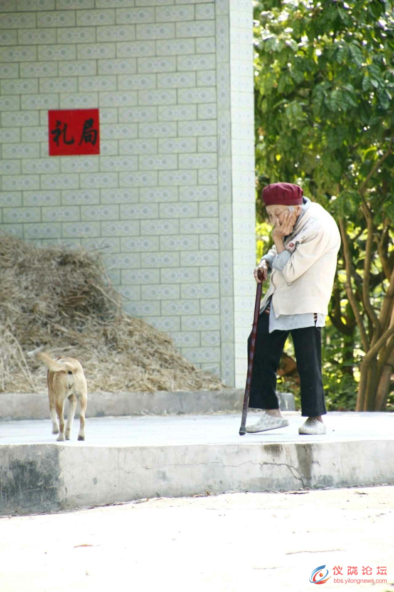 驼背老人图片 图库图片