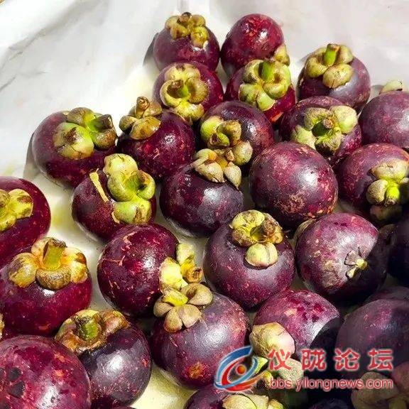 weixin-mpimg-get.html?id=0&fid=3&url=http%3A%2F%2Fmmbiz.qpic.jpg