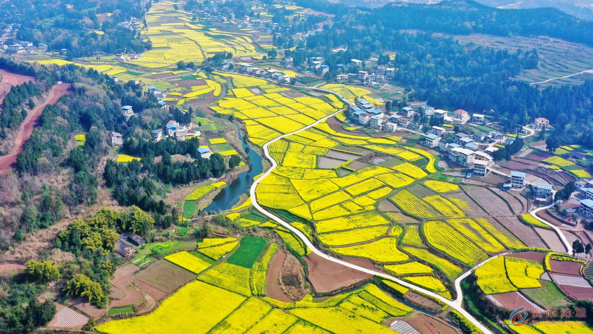 DJI_0189__.jpg